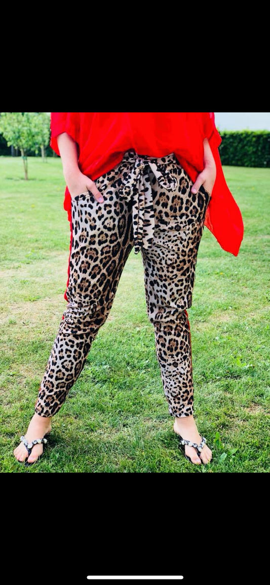 leopardbuks med rød stribe