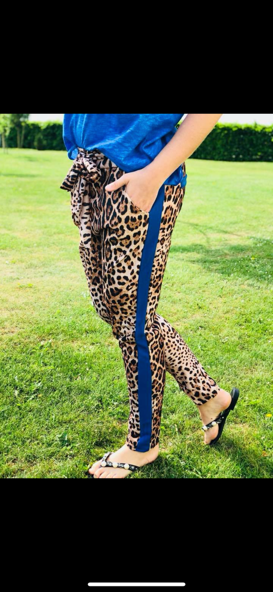 leopardbuks med blå stribe